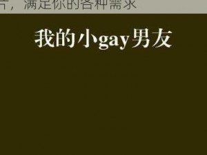 小男生 Gay 男男网站 A 片 18 禁，提供各种类型的男性同志影片，满足你的各种需求