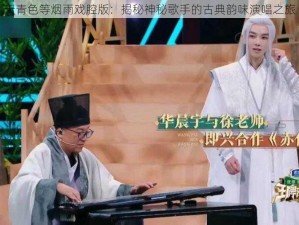 天青色等烟雨戏腔版：揭秘神秘歌手的古典韵味演唱之旅