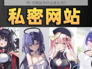 91 污网站为什么这么污？