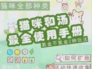 猫咪汤制作指南：安装步骤与配置说明全解析