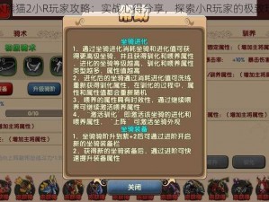 太极熊猫2小R玩家攻略：实战心得分享，探索小R玩家的极致玩法