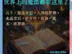 《探索魔法世界的指南：魔法全书 1攻略秘籍》