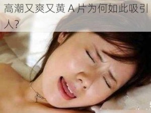 高潮又爽又黄 A 片为何如此吸引人？