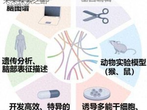 活体脑细胞攻略：揭秘脑科学的无限潜力与未来探索之路