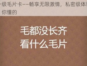 一级毛片卡——畅享无限激情，私密级体验，你懂的