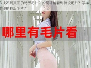 为什么找不到真正的特级毛片？如何才能看到特级毛片？怎样才能找到无水印的特级毛片？