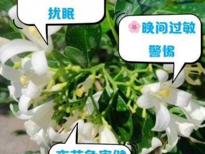 女子半夜莲花开是怎么回事？有哪些表现？