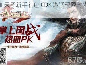 热血天子新手礼包 CDK 激活码限时领取，先到先得