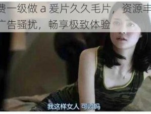 免费一级做 a 爰片久久毛片，资源丰富，无广告骚扰，畅享极致体验