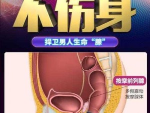 日本进口 XX 牌向下体塞冰块男男情趣用品