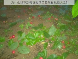 为什么找不到樱桃视频免费观看视频大全？