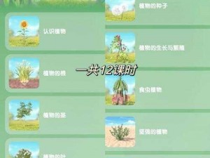 探索口袋植物世界：攻略秘籍大公开，教你轻松养成心仪植物