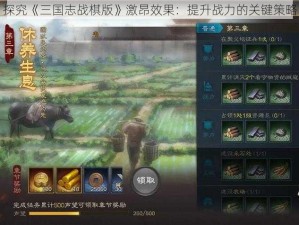 探究《三国志战棋版》激昂效果：提升战力的关键策略