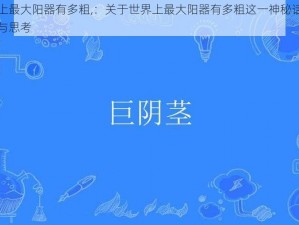 世界上最大阳器有多粗,：关于世界上最大阳器有多粗这一神秘话题的探讨与思考