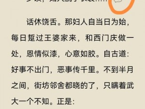 《金瓶梅之官人我要：为何要这样做？如何才能满足你？》