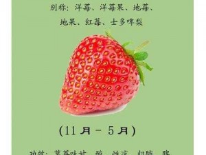 为什么不能免费观看草莓视频？有何方法可以免费观看草莓视频？怎样才能免费观看草莓视频？