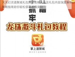 天天幻灵道聚城礼包购买攻略大全及礼包内容深度解析：策略指南助你轻松获取超值奖励