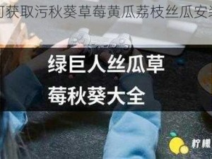 如何获取污秋葵草莓黄瓜荔枝丝瓜安装大全？