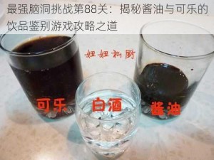 最强脑洞挑战第88关：揭秘酱油与可乐的饮品鉴别游戏攻略之道