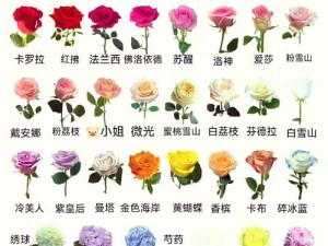 精灵之境绽放之书完美花束制作攻略：必备材料与技巧解析