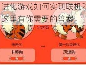 进化游戏如何实现联机？这里有你需要的答案