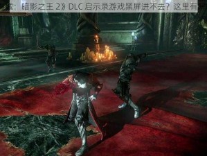 《恶魔城：暗影之王 2》DLC 启示录游戏黑屏进不去？这里有解决方法