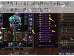 魔兽世界怀旧服自然抗性布甲选择攻略：自然抗性装备选择与搭配技巧