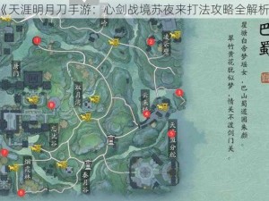 《天涯明月刀手游：心剑战境苏夜来打法攻略全解析》