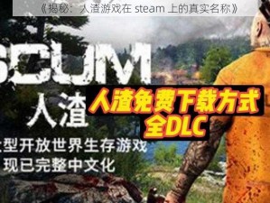 《揭秘：人渣游戏在 steam 上的真实名称》