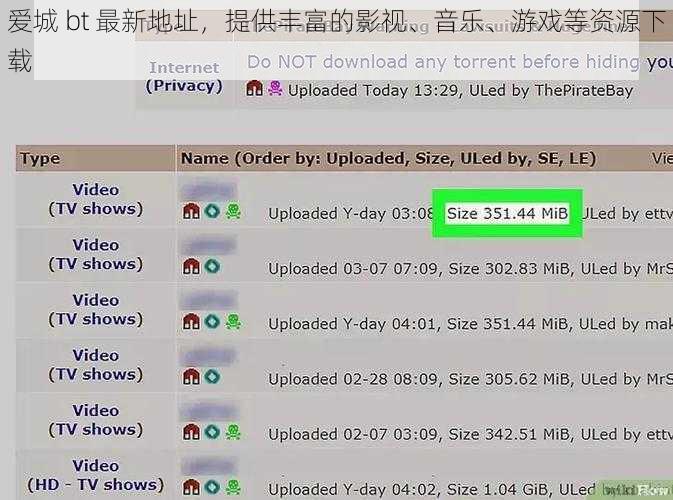 爱城 bt 最新地址，提供丰富的影视、音乐、游戏等资源下载