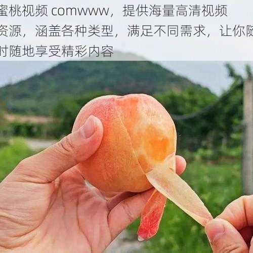 蜜桃视频 comwww，提供海量高清视频资源，涵盖各种类型，满足不同需求，让你随时随地享受精彩内容