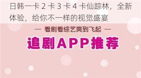 日韩一卡 2 卡 3 卡 4 卡仙踪林，全新体验，给你不一样的视觉盛宴