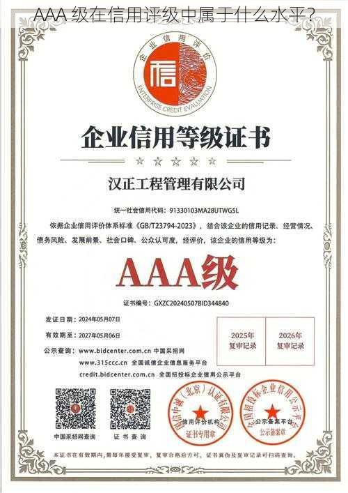 AAA 级在信用评级中属于什么水平？