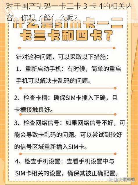 对于国产乱码一卡二卡 3 卡 4的相关内容，你想了解什么呢？