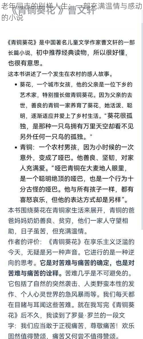 老年同志的别样人生：一部充满温情与感动的小说