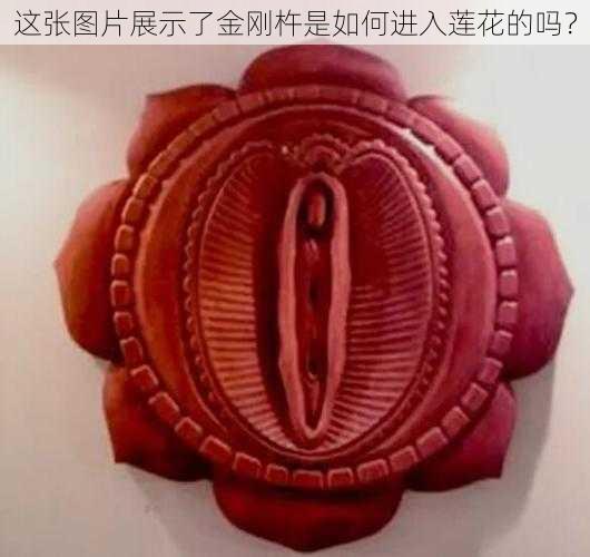 这张图片展示了金刚杵是如何进入莲花的吗？