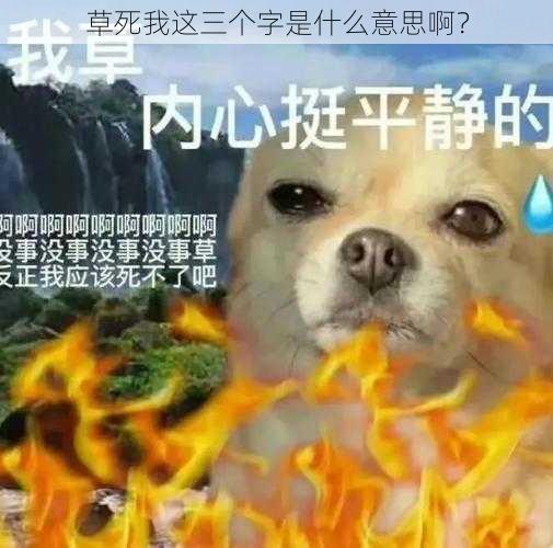 草死我这三个字是什么意思啊？