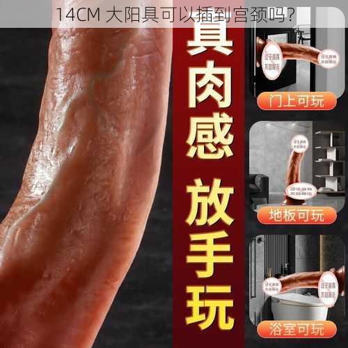 14CM 大阳具可以插到宫颈吗？