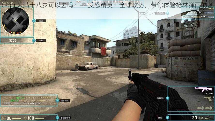 csgo 未满十八岁可以去吗？——反恐精英：全球攻势，带你体验枪林弹雨的刺激