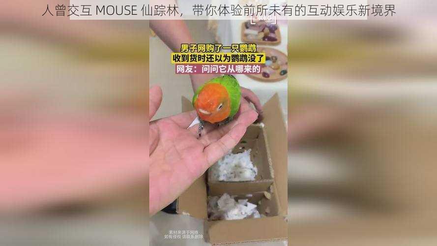 人曾交互 MOUSE 仙踪林，带你体验前所未有的互动娱乐新境界