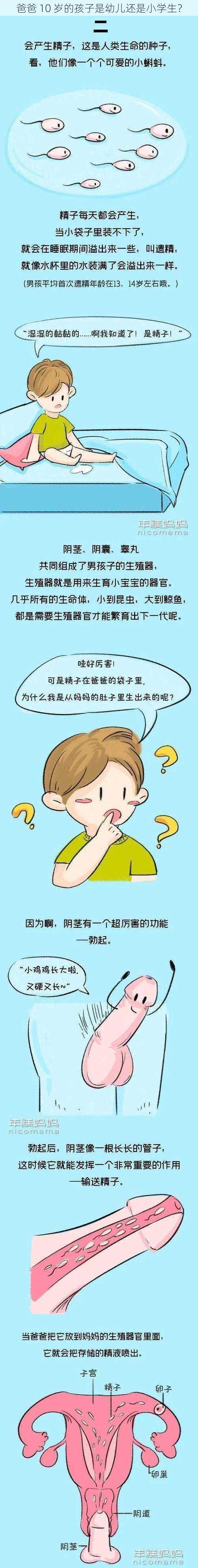 爸爸 10 岁的孩子是幼儿还是小学生？