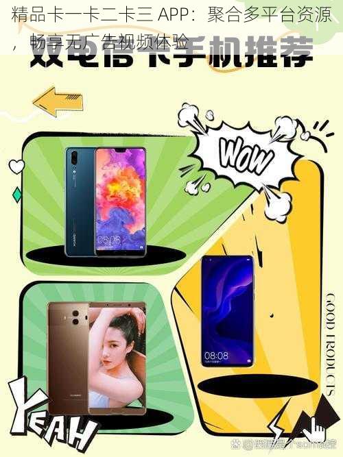 精品卡一卡二卡三 APP：聚合多平台资源，畅享无广告视频体验