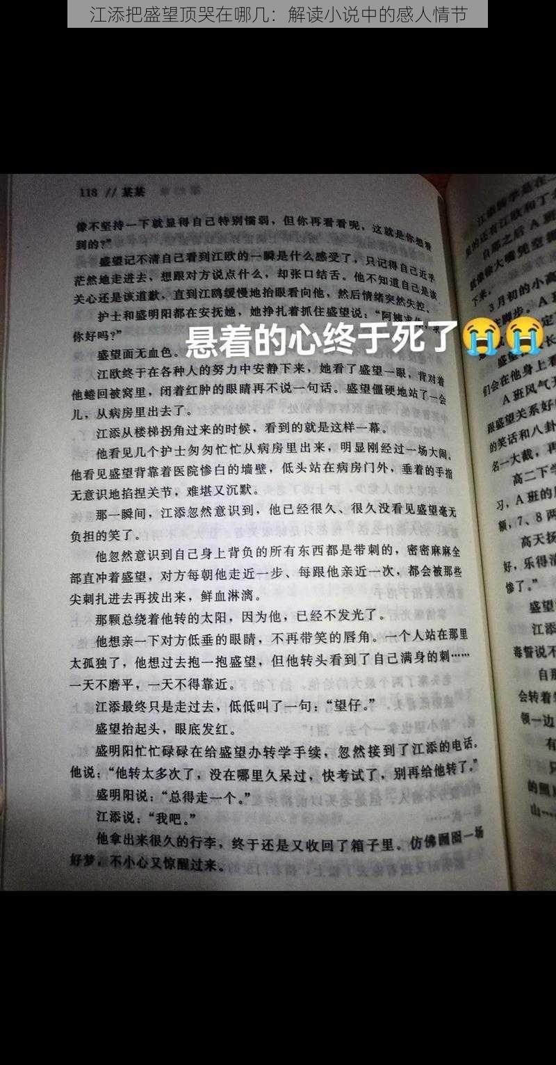 江添把盛望顶哭在哪几：解读小说中的感人情节