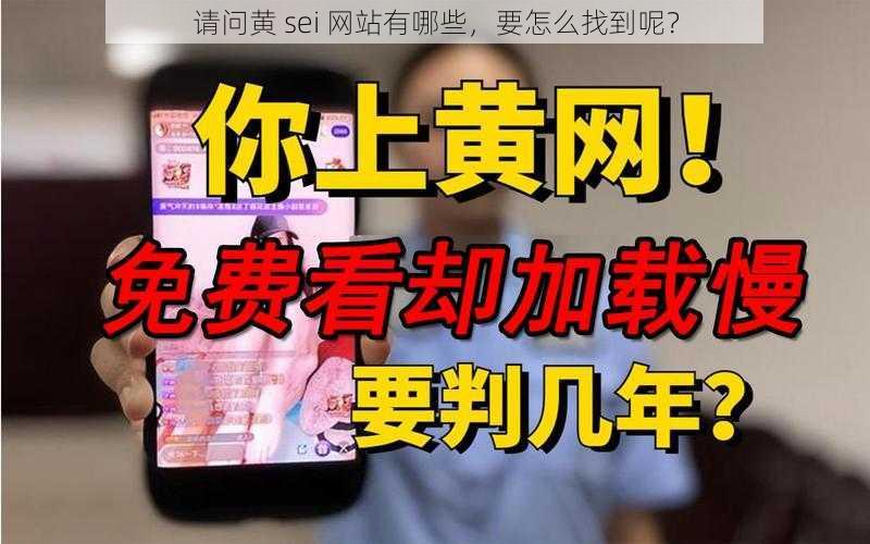 请问黄 sei 网站有哪些，要怎么找到呢？