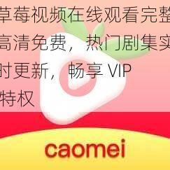 草莓视频在线观看完整高清免费，热门剧集实时更新，畅享 VIP 特权