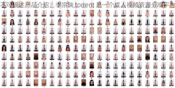 不可描述产品介绍：李宗瑞 torrent 是一个成人视频资源分享平台