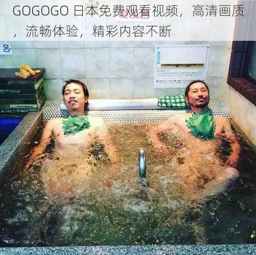 GOGOGO 日本免费观看视频，高清画质，流畅体验，精彩内容不断