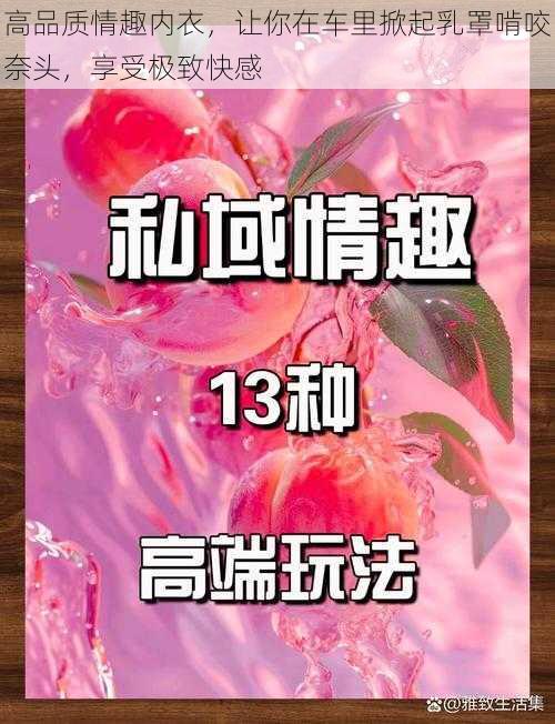 高品质情趣内衣，让你在车里掀起乳罩啃咬奈头，享受极致快感