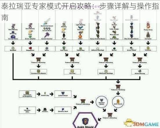 泰拉瑞亚专家模式开启攻略：步骤详解与操作指南