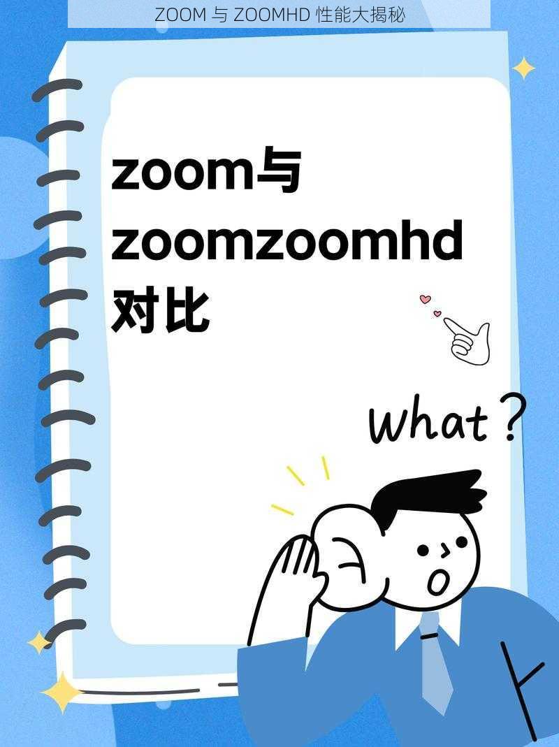 ZOOM 与 ZOOMHD 性能大揭秘